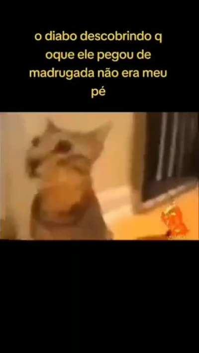 DoglaREDDIT - Video #8443