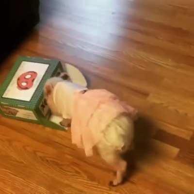 Stitch opens up her Oink Box to check out the new goodies!