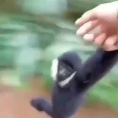 Nada mas que añadir