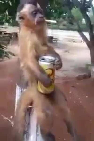 Fica tranquilo, ela não te merecia