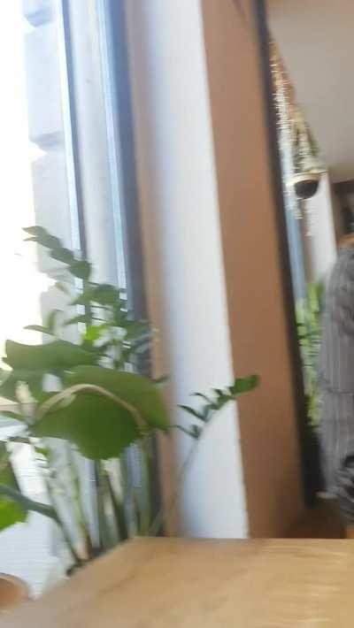 I don't know if it's a rule, but in vegan pubs, whenever someone caught me, they usually smiled.