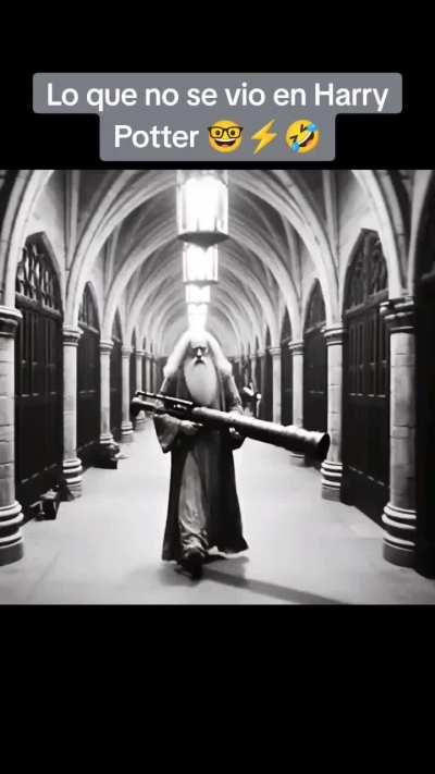 Lo que usted no vio de Harry Potter 