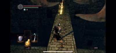 Felt like this clip portrays the beauty of Dark Souls very well