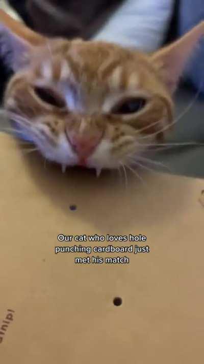 Unsatisfying crunch 😞