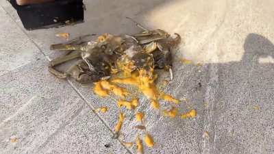 Anyone know a name of this video?