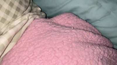 you joining me in bed? fart