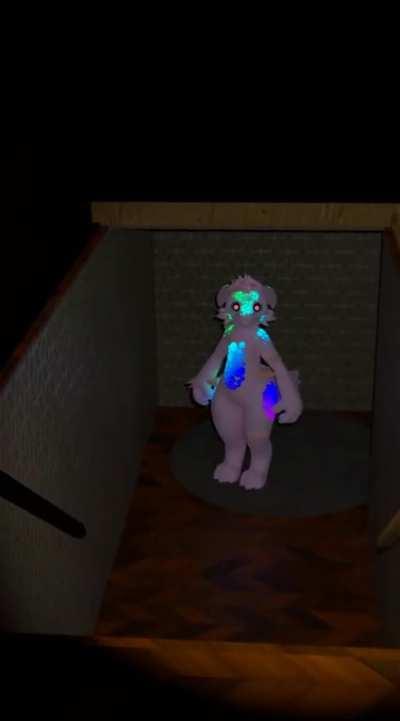 Whats the wifi password