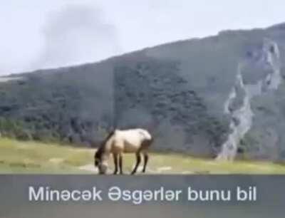 Şuşanın dağları başı dronlu