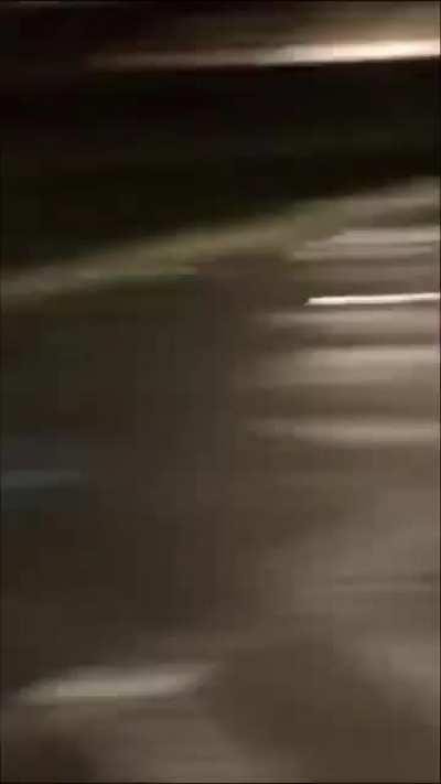 this has to be florida