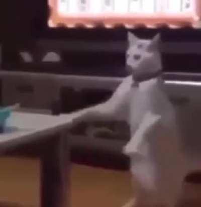 Cursed_ mmmh mhmhmmmmm mhmhmmmm