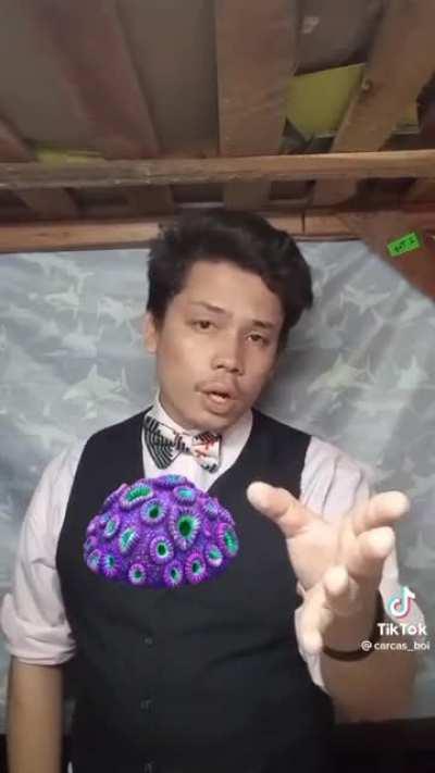 Yeah, that’s basically the game