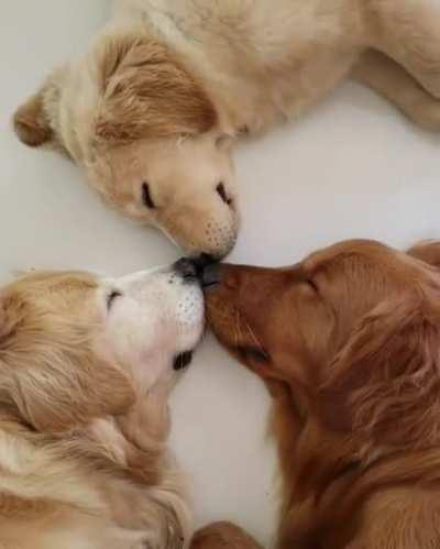 A trick to sleepwalking together ... =)