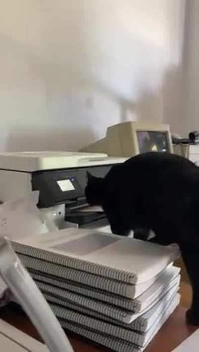 The printer wins this round