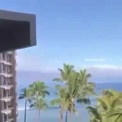 Bird.exe stop working