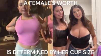 The only thing that matters (reupload)