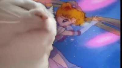 Main theme is a jam tho