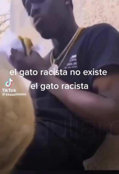 BeelcitosMemes - Video #0767