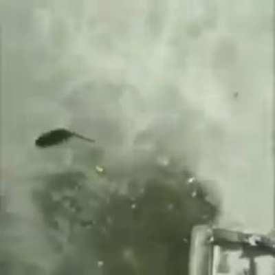 Live Stinky Boy Reaction no