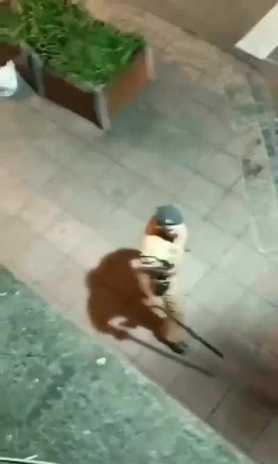 Hahahahahahahahahahahahaha