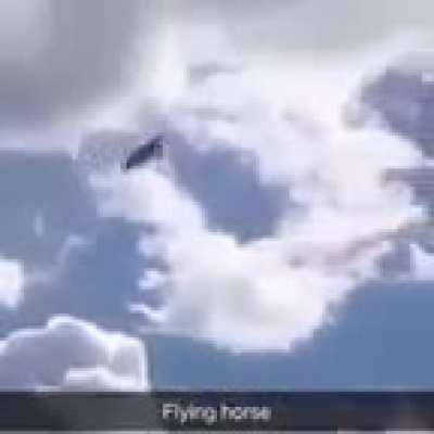 Flying horse