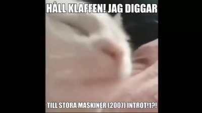jag ner mammaa sa att maten var klar igår½!