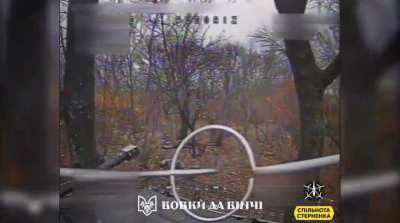 Da Vinci Wolves, 108th Mechanized Battalion of the 59th Motorized Brigade, release a compilation of FPV strikes in the Pokrovsk Region [29.12.24]