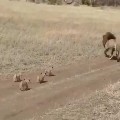 dIpShIt FaThEr TrIeS tO aBaNdOn HiS oWn ChIlDrEn