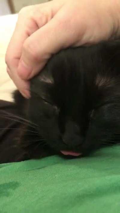 It’s the tongue for me! She’s done this all of her life.