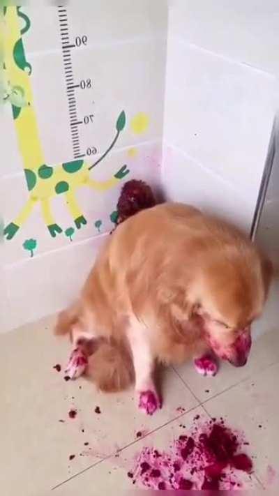 Partner in crime 😆