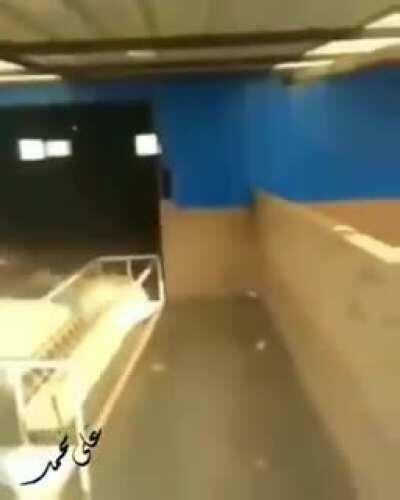 Interesting kung-fu attack by 🐑