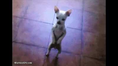 [FRESH] New Slaves 2 Outro