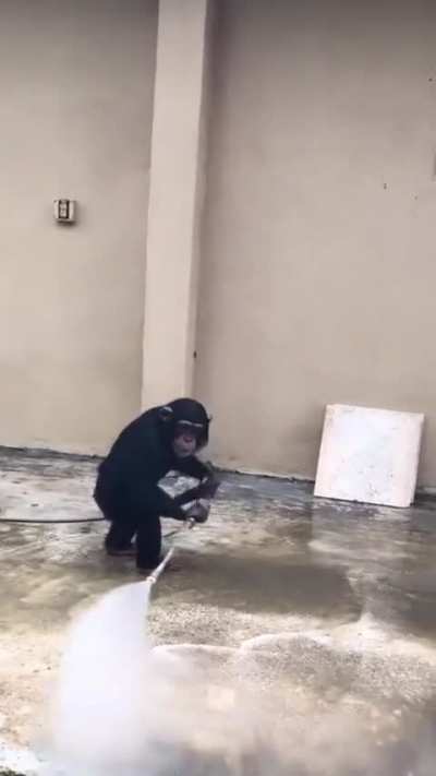 Ok WHICH one of you gave him this. 