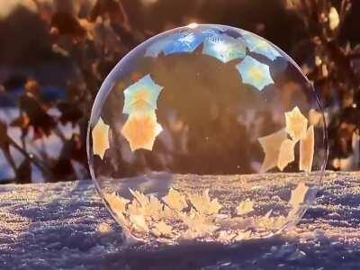 Bubble freezing on the frost.
