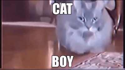 I don't know if anyone is gona understand the refrenc but eh