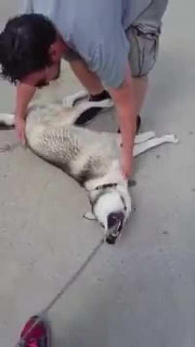 Don't wanna go homeeee