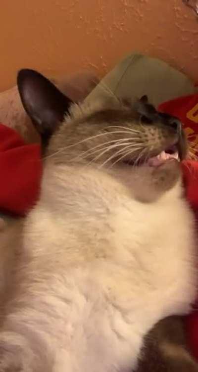 The teefies come out when the nose gets scratchies