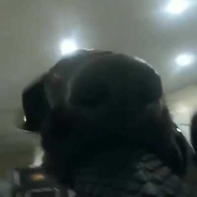 free satisfied optimistic enthusiastic eager confidence icecream beauty positivethinking