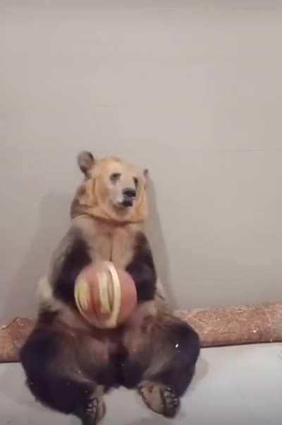 Getting ready for his try out with the Memphis Grizzlies