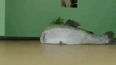 lisinho e macio, igual um noia