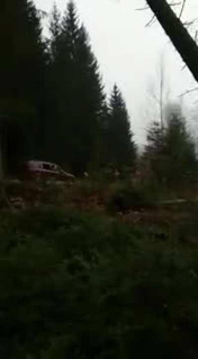 Tree cutting isn’t made for all