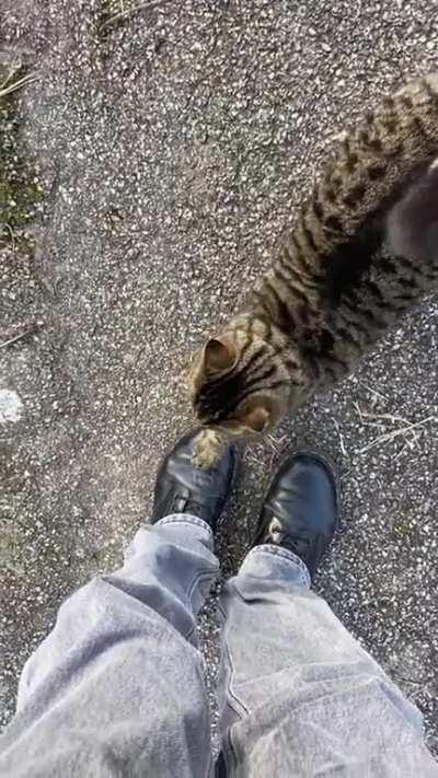 I scratched your shoe, now you scratch my back, that's only fair