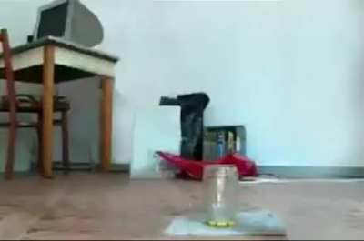 You must never forget