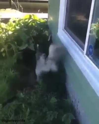 And the Oscar goes to…..!