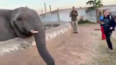 Cute Animal, why don't I stand reeaal close