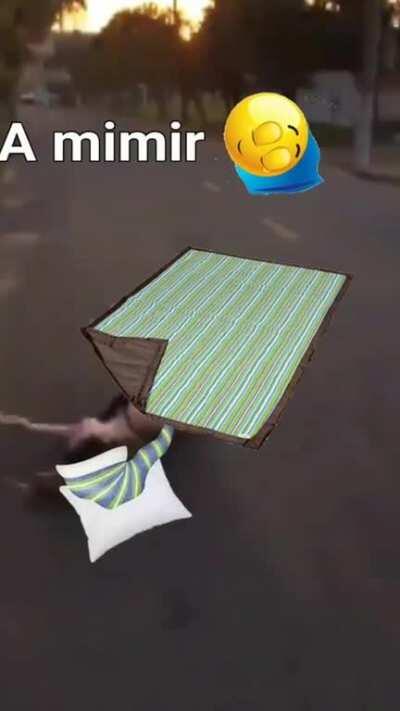 El fag chat despues de los directos de tom