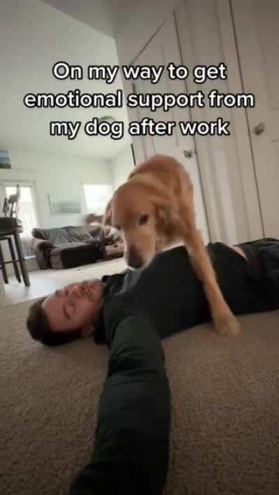 The very best therapy