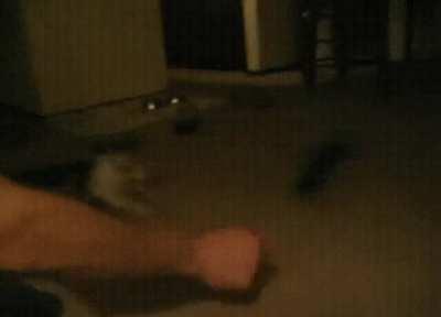 Floof is overpowered by pillow.