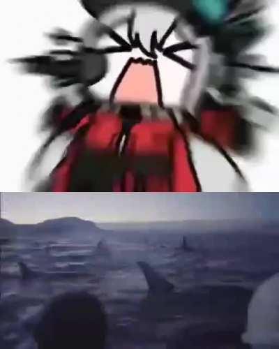 Video of hundred whales with the under tides ost playing