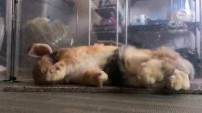 Aftermath of Charlotte’s birthday party