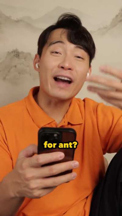 Worlds smallest Fried rice